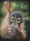 by Geraldine Simmons
