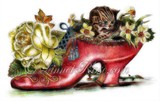 by Linnet Rose