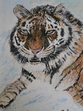 by margaret laws