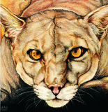 by Sheryl Unwin