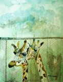 by Paula Maybery