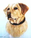 by Diane Kopczeski