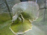 by Tanja Henn