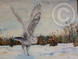 by lorie turpin