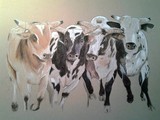 by Margie Gilligan