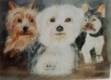 by Dawn Moir-Harris 