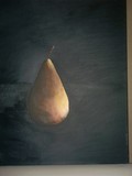 by joel zelikovitz