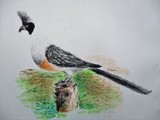 by Abhishek Rammohan