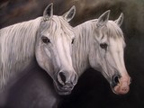 by Marlene Barrett