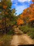 by Randy Schwanke