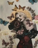 by Lorna Gerard
