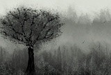 by Thomas Clover