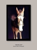 by Brenda  Garacci