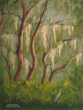 by William Boyer