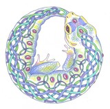 by Angie Waszkiewicz