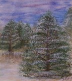 by Donna Ryant