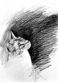 by Gene Guilmette