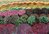 by Nira Dabush