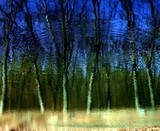 by mihail uss
