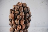 by alozie onyirioha