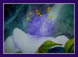 by paulette rygiel