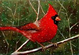 by Joyce Geleynse