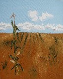 by Gail Nordlof