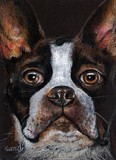 by Tammy Kuenzli