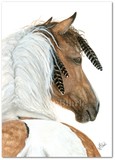 by AmyLyn Bihrle