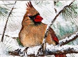 by Terri Walker