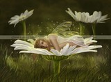 by Rachael Tallamy