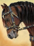 by Svetlana Ledneva-Schukina