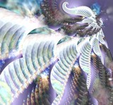 by rebecca phillips