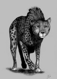 by Daniel Venter