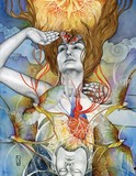 by Patricia  Ariel