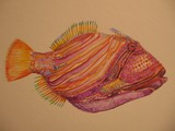 by Kemlyn Tan Bappe