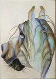 by Malgorzata Aleksandra Trembla