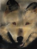 by Lili Rose
