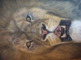 by jay dawn