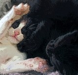 by Randy Catoe