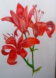 by Linda McCue