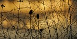 by Greg Summers