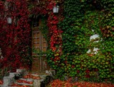 by joost 
