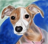 by Patty Woodbury