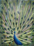 by Vishal Buxani