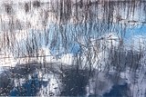 by Gerard van den Berge