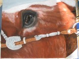 by Kathy Krouse