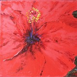 by Dawn Lundquist
