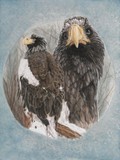 by Barbara Keith