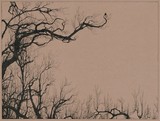 by Socar Myles